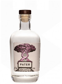 Pater Rachiu de struguri