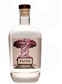 Pater Rachiu de struguri