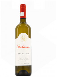Budureasca Standard Feteasca Regala