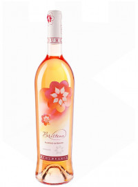 Bristena Busuioaca De Bohotin