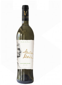 Domeniul Vladoi Anca Maria Sauvignon Blanc