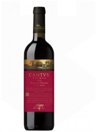 Cantus Primus Feteasca Neagra