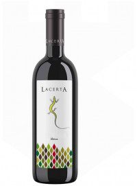 Lacerta Shiraz