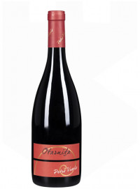 Petro Vaselo Otarnita