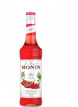 Monin Sirop Spicy